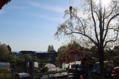 20220420_IMG_0513