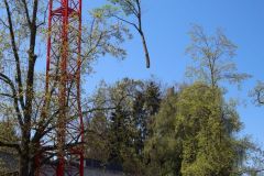 20220421_IMG_0569