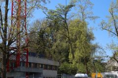 20220421_IMG_0570