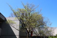 20220421_IMG_0572