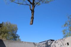 20220421_IMG_0588