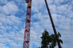 20220907_IMG_1695