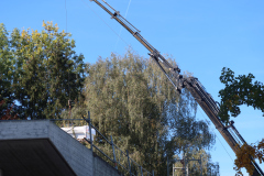 20221005_005_IMG_2002