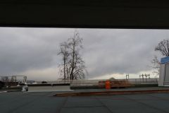 20230116_004_IMG_2928